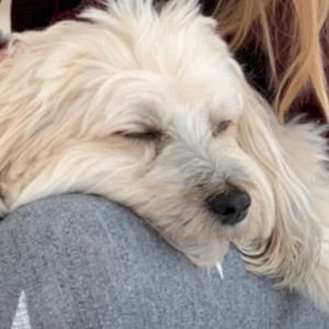 Meet your Posher, Sophia